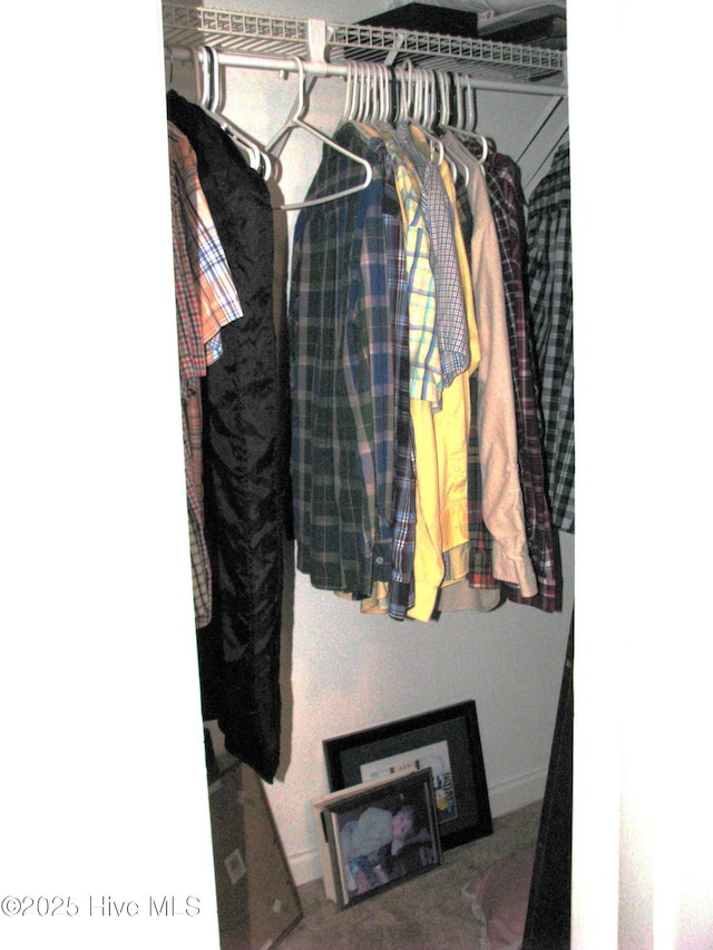 view of closet