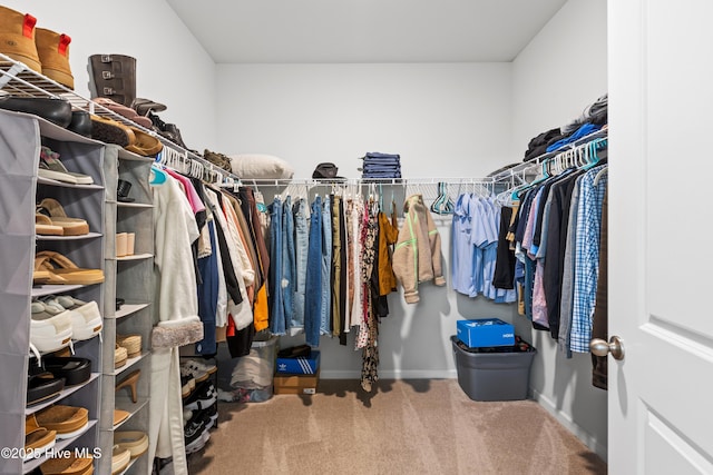 walk in closet with carpet