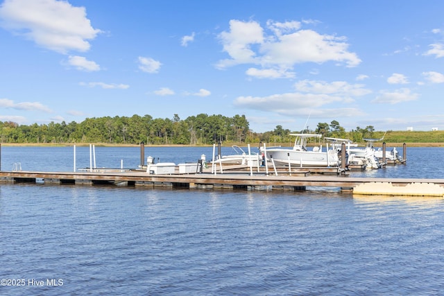 view of dock with a water view