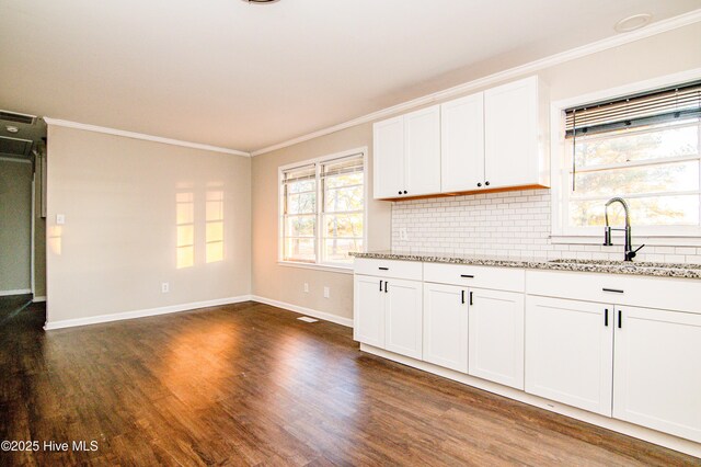 kitchen with dark hardwood / wood-style flooring, light stone counters, white cabinetry, and sink