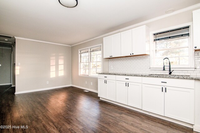 kitchen featuring sink, light stone counters, dark hardwood / wood-style flooring, decorative backsplash, and white cabinets