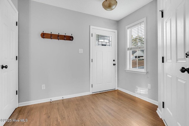 entrance foyer with light hardwood / wood-style floors