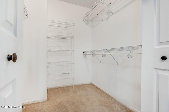 walk in closet featuring light carpet