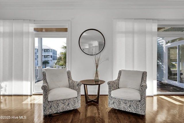 sitting room featuring hardwood / wood-style floors