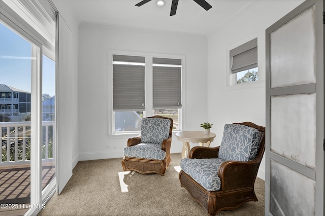 interior space with carpet flooring, ceiling fan, and crown molding