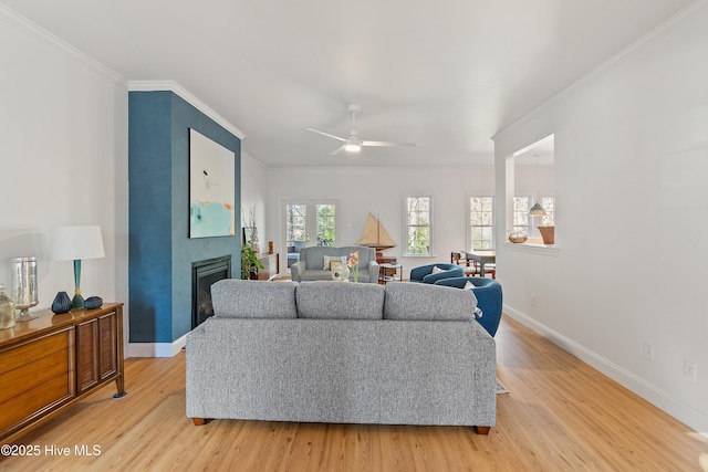 living room with ceiling fan, crown molding, and light hardwood / wood-style flooring