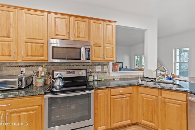 kitchen featuring sink, stainless steel appliances, and dark stone countertops