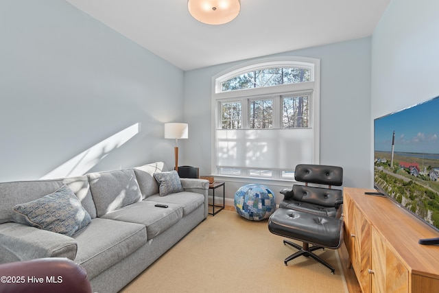 living room featuring carpet