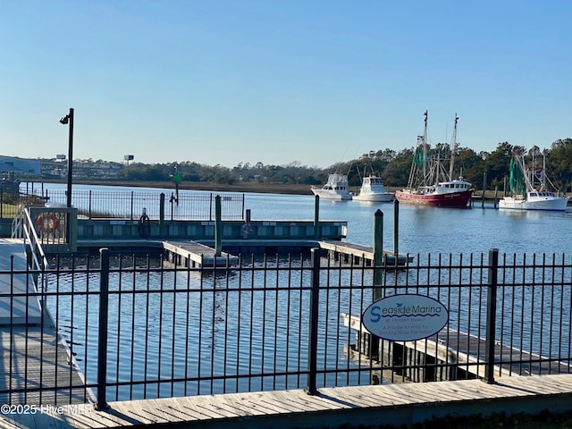 dock area with a water view