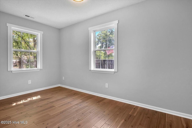 empty room featuring hardwood / wood-style floors, a textured ceiling, and a wealth of natural light