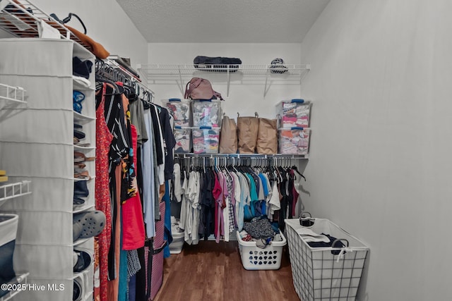 spacious closet featuring dark hardwood / wood-style flooring