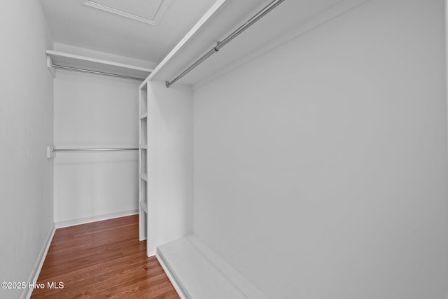 spacious closet featuring hardwood / wood-style floors