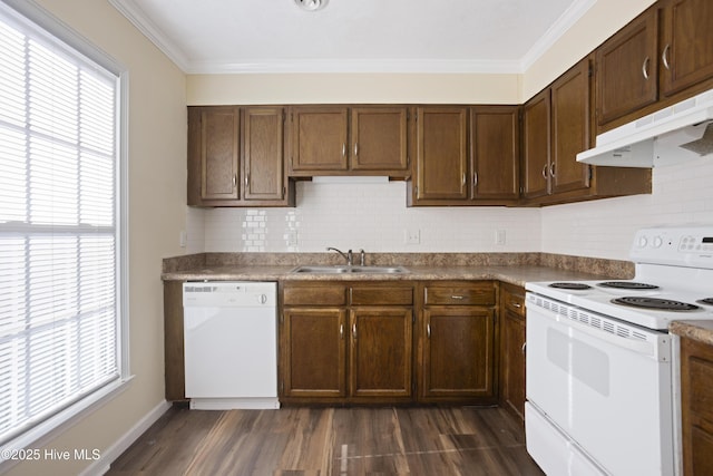 kitchen featuring ornamental molding, sink, dark hardwood / wood-style flooring, and white appliances