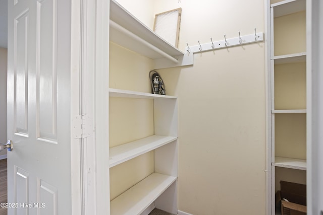 view of closet