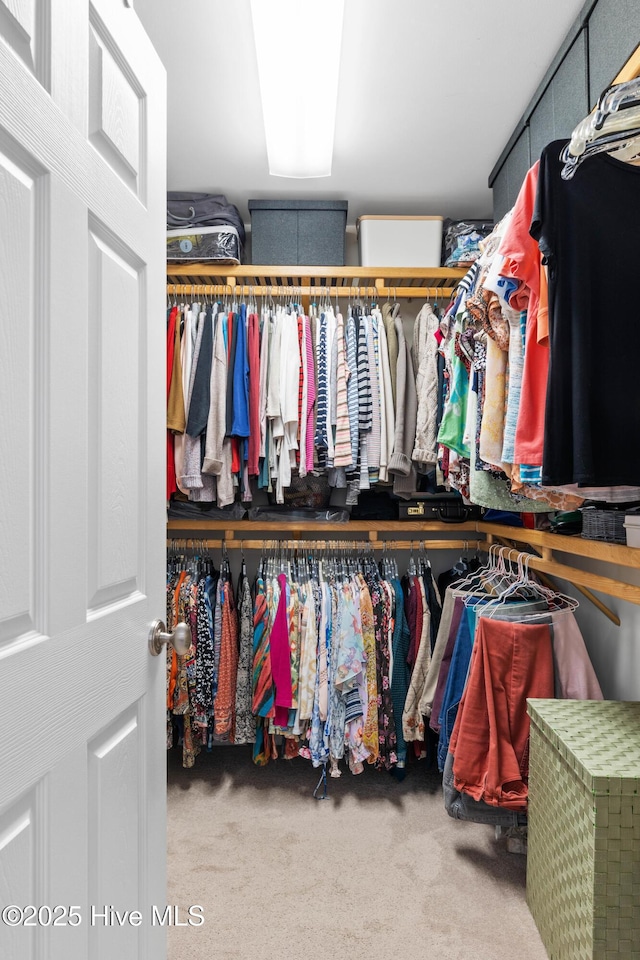 walk in closet featuring carpet flooring