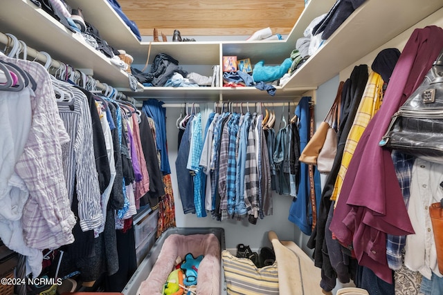 view of spacious closet