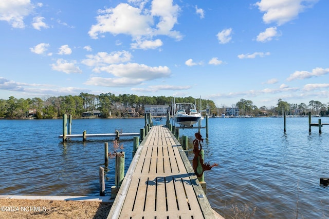 dock area with a water view