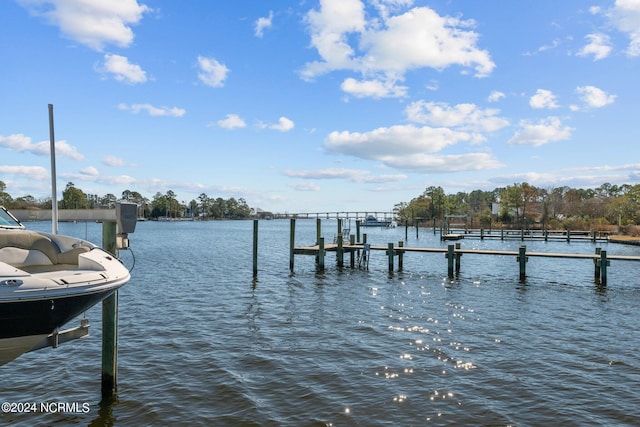 dock area with a water view