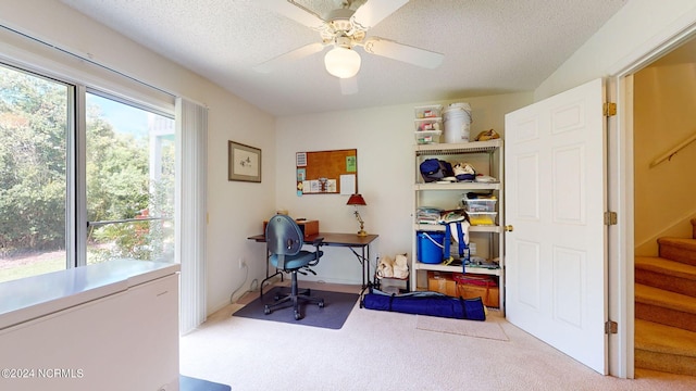 carpeted office space featuring ceiling fan and a textured ceiling