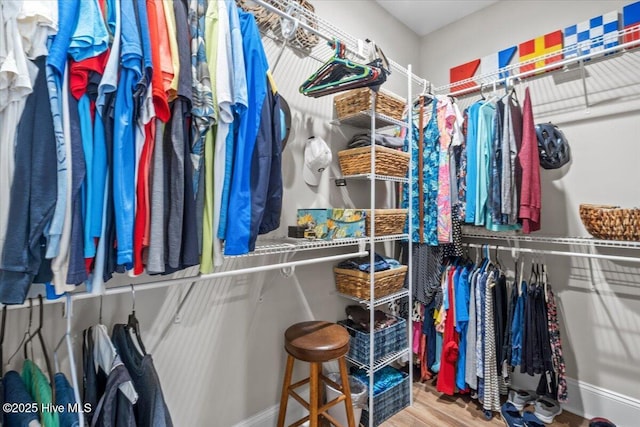 spacious closet featuring wood finished floors