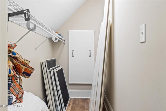 walk in closet featuring lofted ceiling and wood finished floors