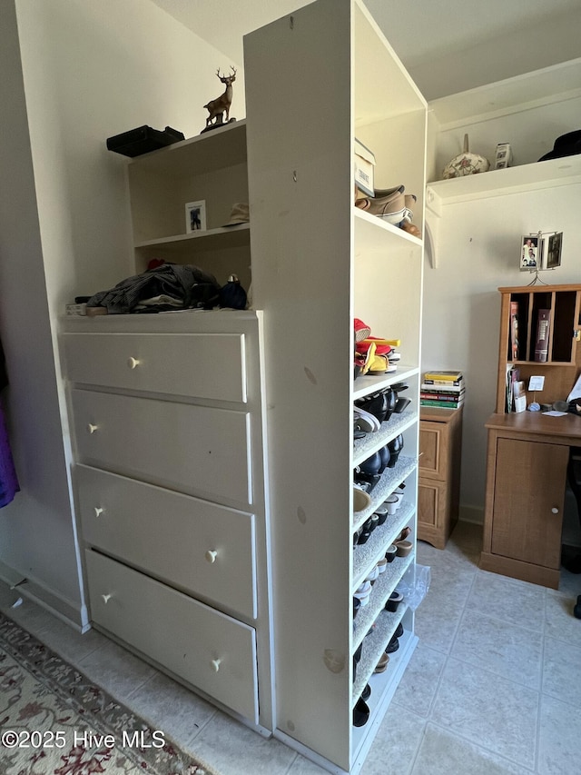 view of spacious closet