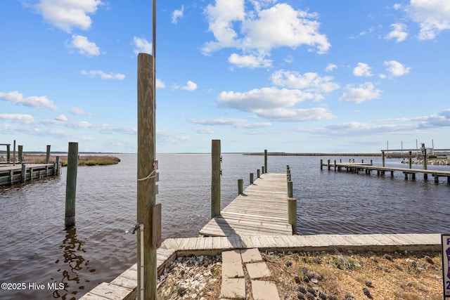 dock area featuring a water view