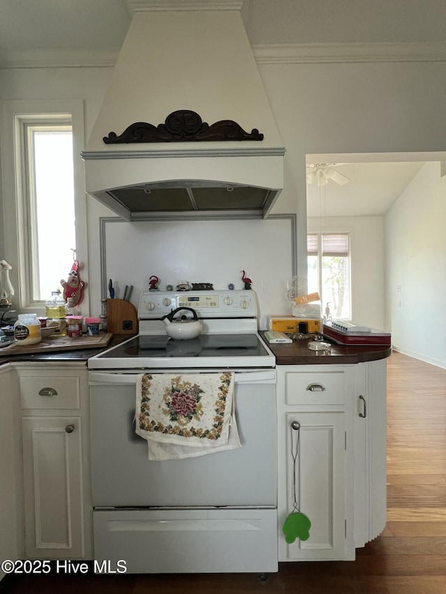 kitchen featuring custom exhaust hood, crown molding, white electric range, hardwood / wood-style flooring, and white cabinetry