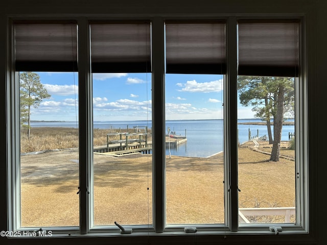 doorway with plenty of natural light and a water view