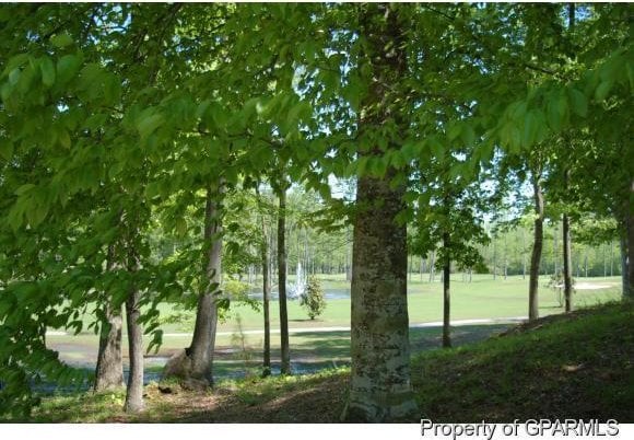 4403 Oaksong Dr Unit 35, Greenville NC, 27834 land for sale