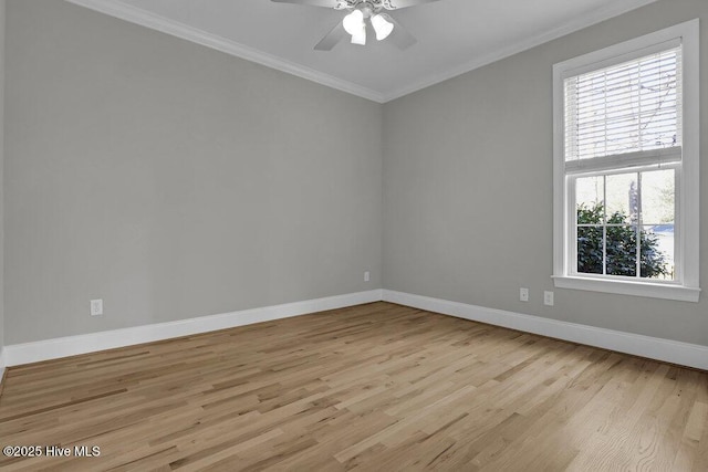 empty room featuring crown molding, ceiling fan, and light wood-type flooring