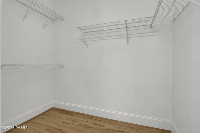 walk in closet featuring hardwood / wood-style floors