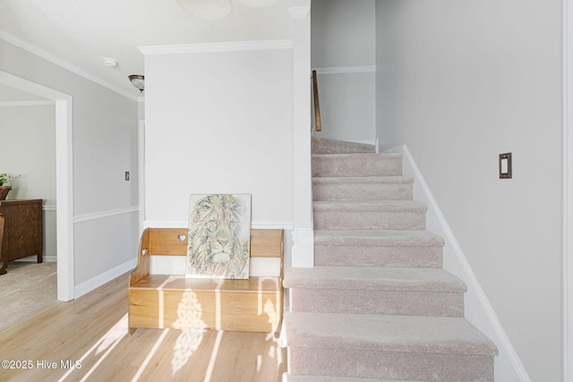 stairs with hardwood / wood-style floors and ornamental molding