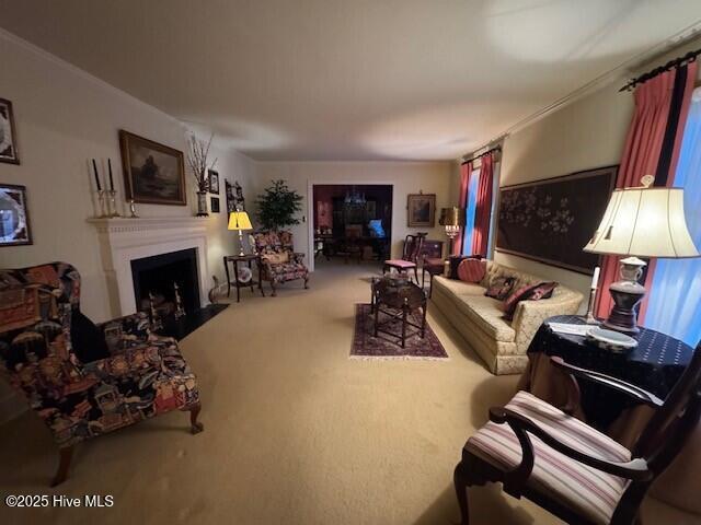 living room featuring carpet