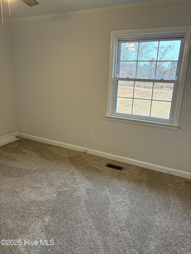 carpeted spare room featuring crown molding