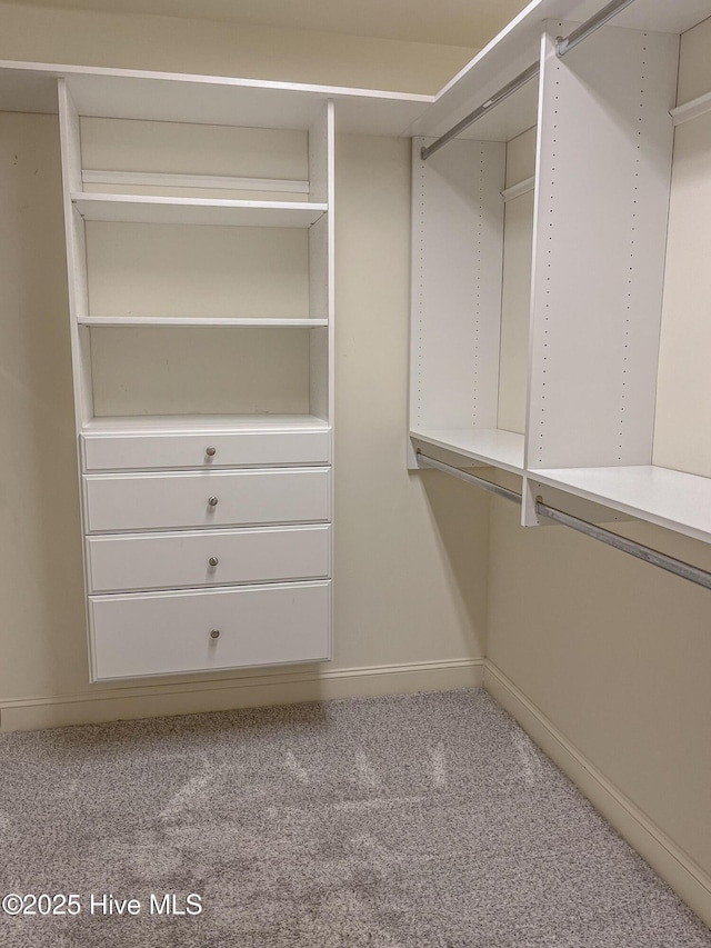 spacious closet featuring light colored carpet