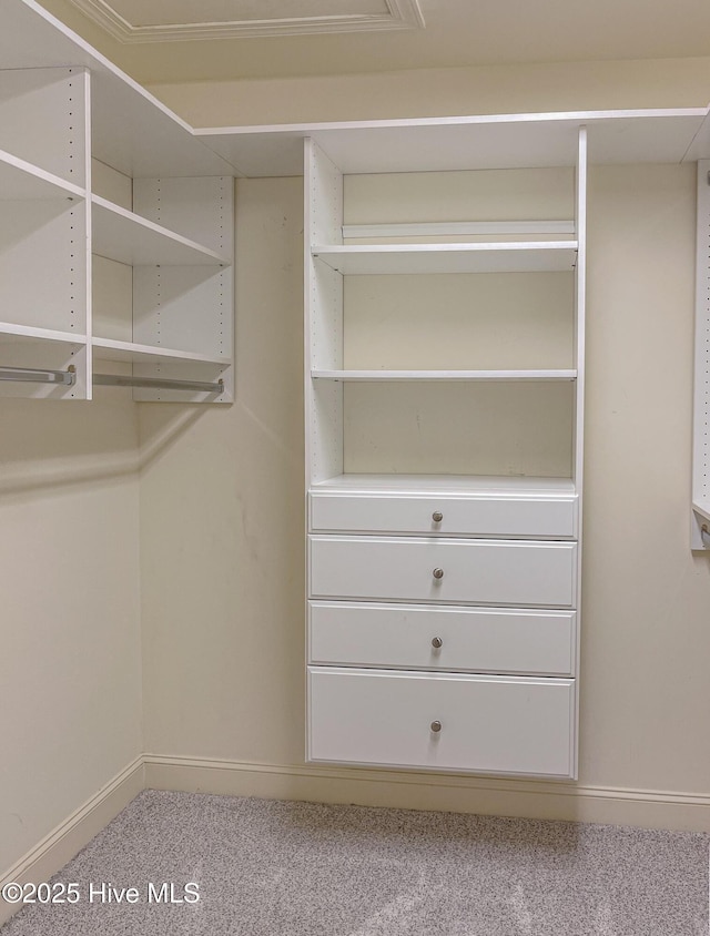 walk in closet featuring carpet floors