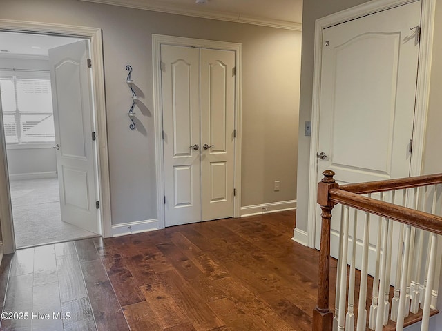 hallway featuring ornamental molding and dark hardwood / wood-style floors