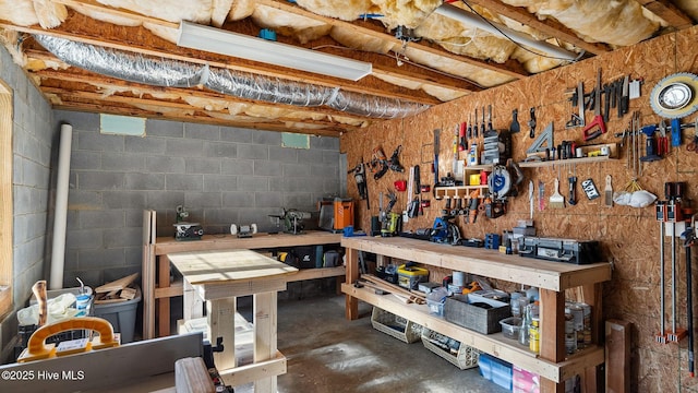 basement with a workshop area