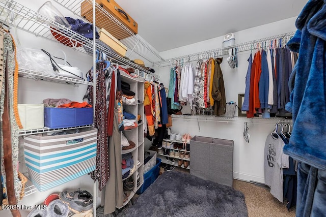 view of spacious closet