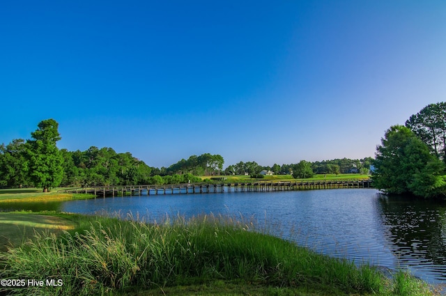 property view of water