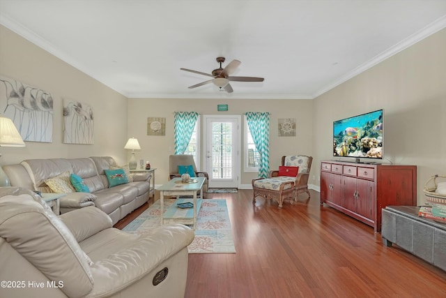 living room featuring ceiling fan, hardwood / wood-style floors, and ornamental molding