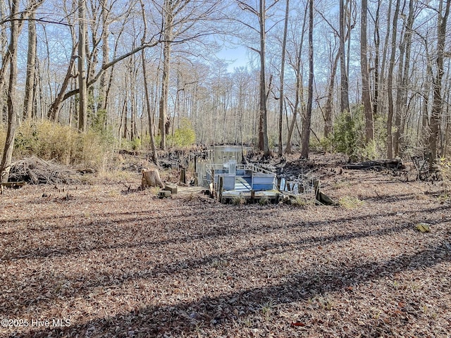 view of yard with a dock