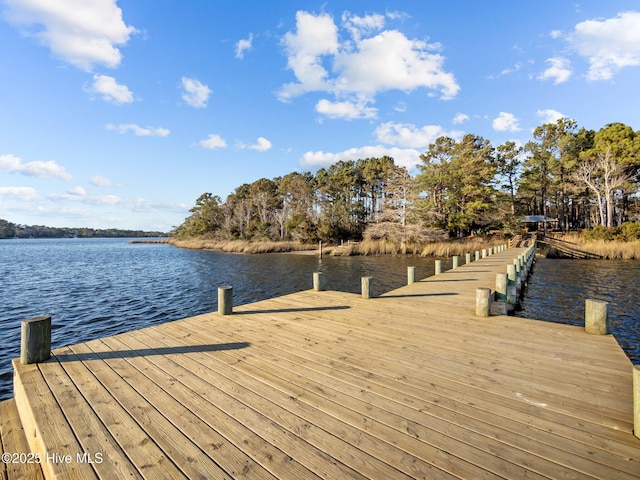 dock area featuring a water view