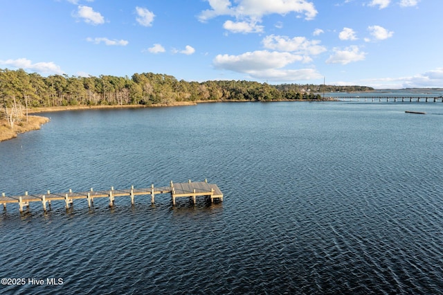 property view of water with a boat dock