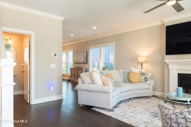 living area featuring wood-type flooring, a fireplace, baseboards, and crown molding