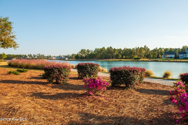 view of water feature