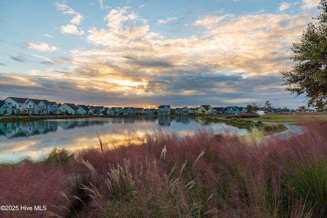 property view of water with a residential view