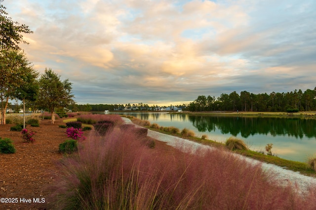 property view of water