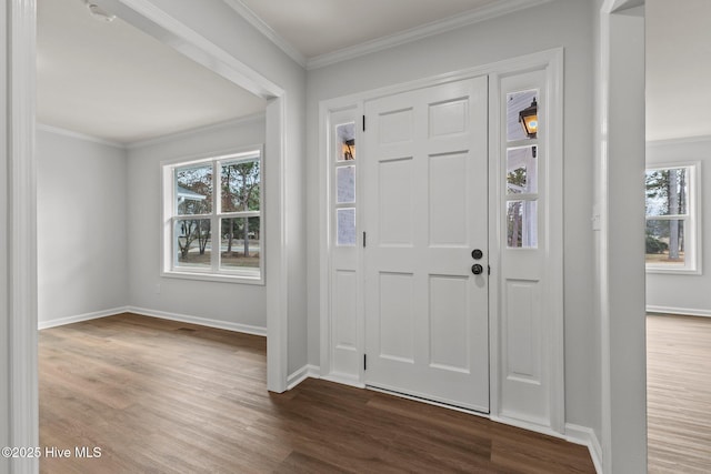 entryway featuring dark wood-type flooring and crown molding